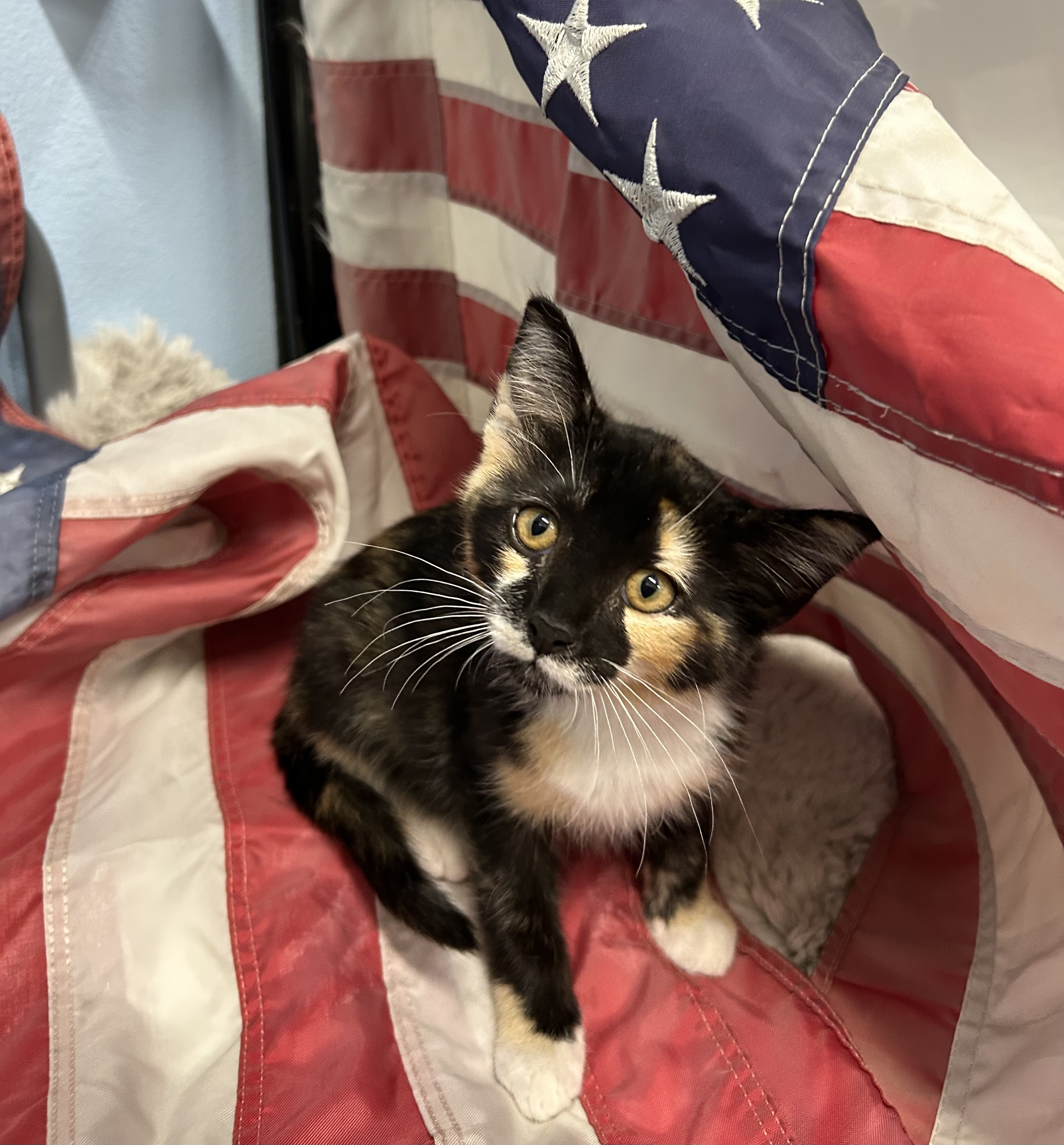 Betsy (Ross)
