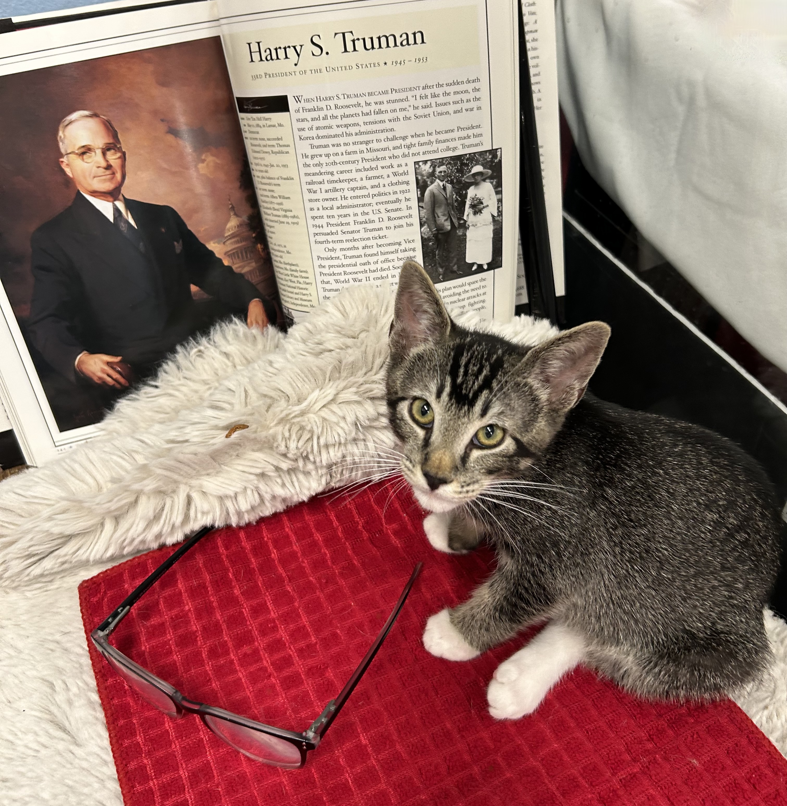 Truman